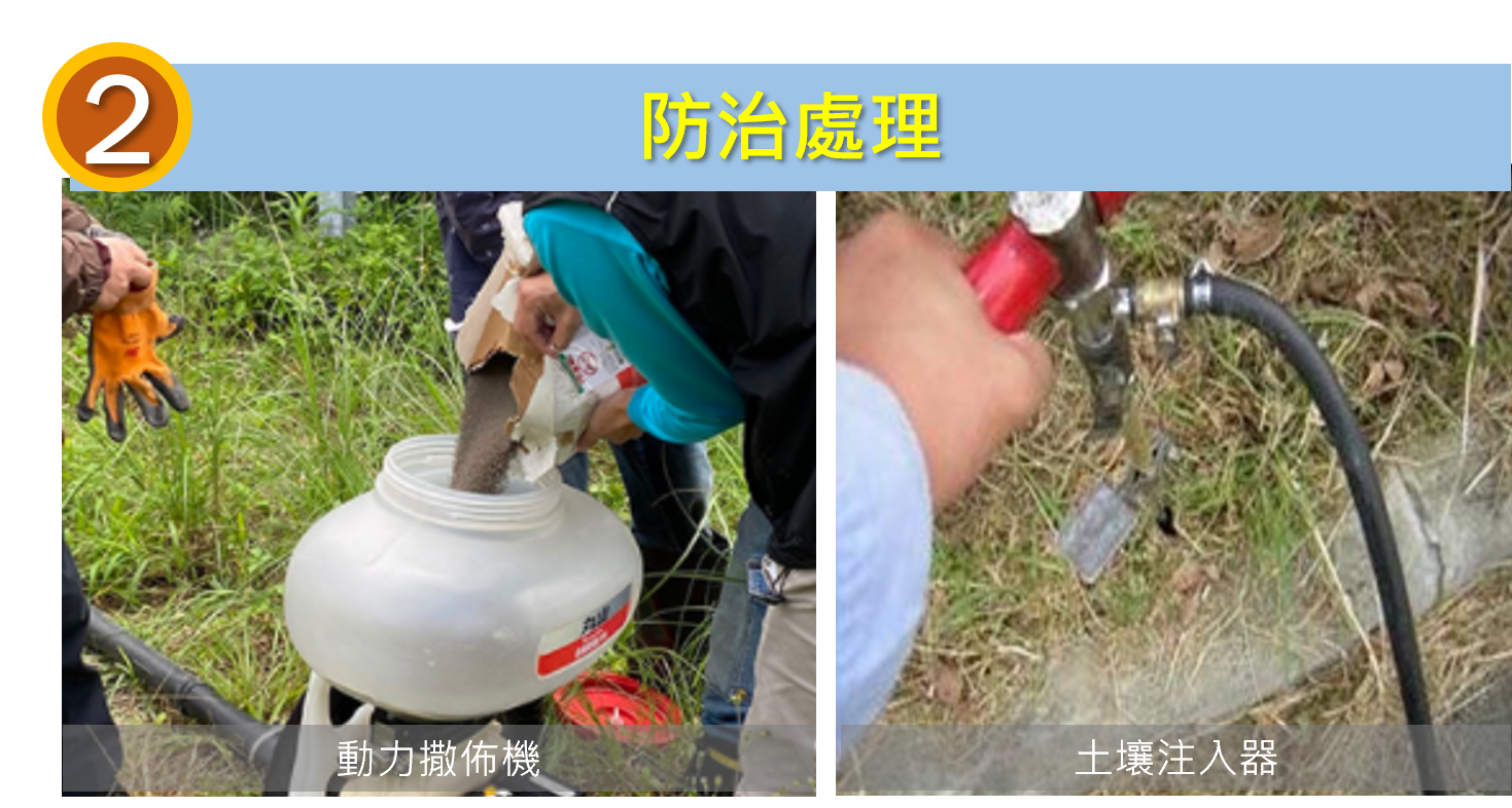 課題五 / 紅火蟻防治