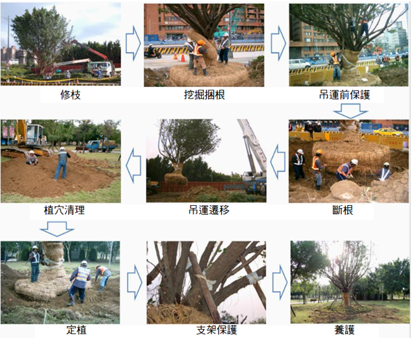 課題一 / 區內樹木移植構 課題一 / 區內樹木移植構