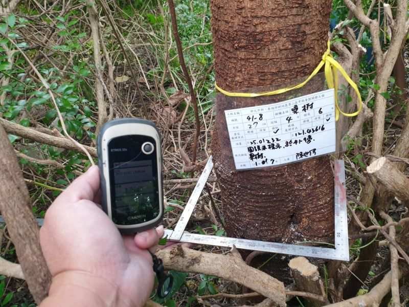 0107-工地拆除、自主檢查、紅火蟻檢測及T-BAR基礎作業