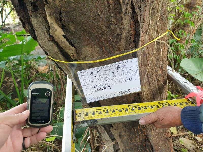 0107-工地拆除、自主檢查、紅火蟻檢測及T-BAR基礎作業