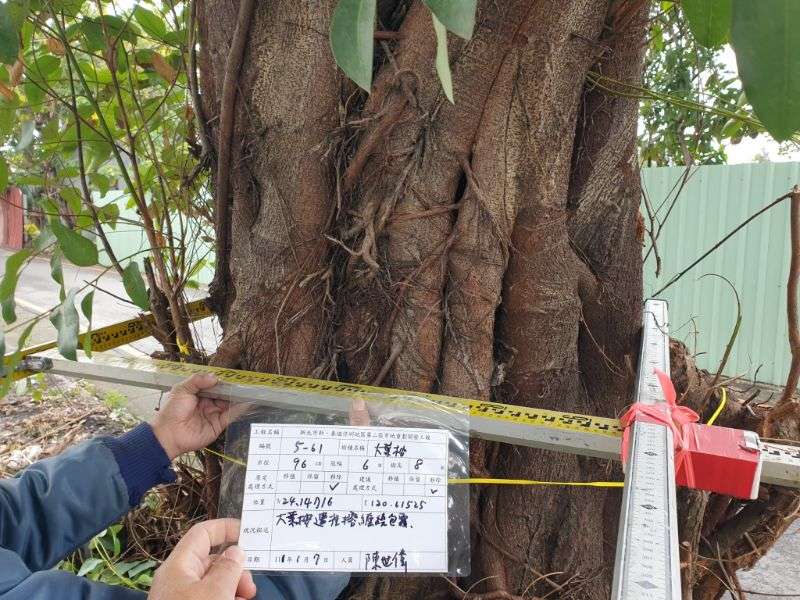 0107-工地拆除、自主檢查、紅火蟻檢測及T-BAR基礎作業