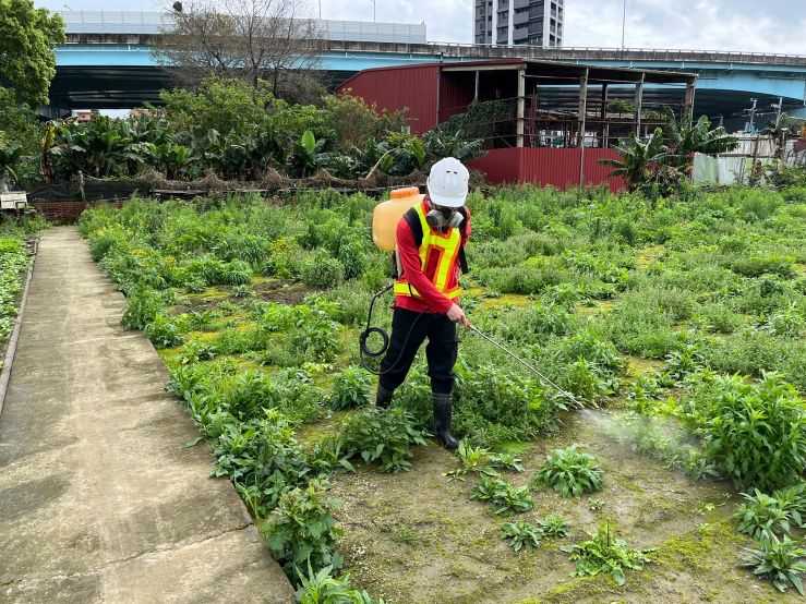 0225-建物拆除、拆後整地、圍籬施作、宣導看板(C)基礎回填,高程檢測及紅火蟻防治 0225-建物拆除、拆後整地、圍籬施作、宣導看板(C)基礎回填,高程檢測及紅火蟻防治