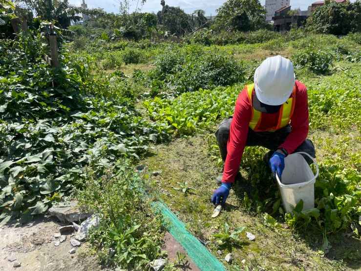 0301-建物拆除、圍籬施作、拆除後有價料會磅及紅火蟻偵查