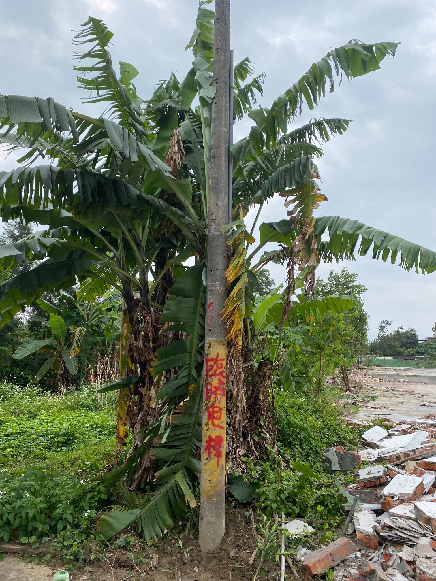 0306-工區聯合交維巡檢、圍籬噴漆及臨時電桿立設