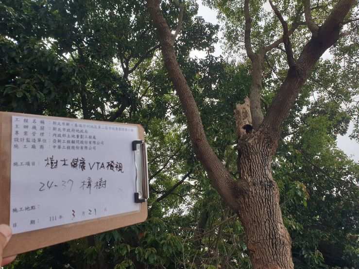 0321-樹木VTA(樹木健康等級)健檢、圍籬施作、B8類廢棄物會磅、有價料會磅及道路試挖
