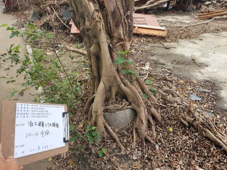 0321-樹木VTA(樹木健康等級)健檢、圍籬施作、B8類廢棄物會磅、有價料會磅及道路試挖