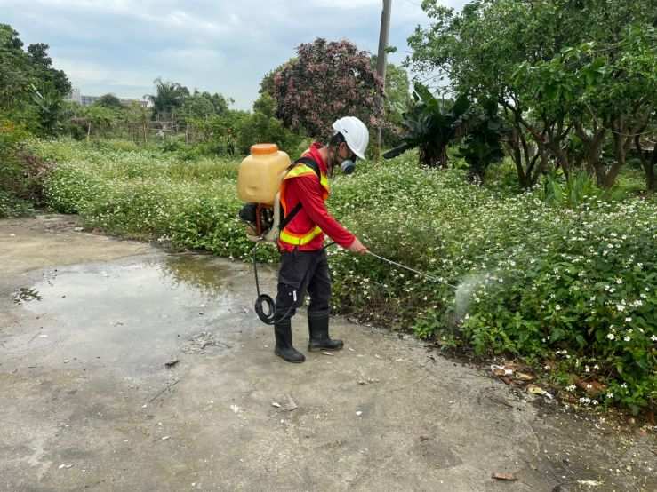 0325-建物拆除、圍籬施作、紅火蟻偵查及管理維護