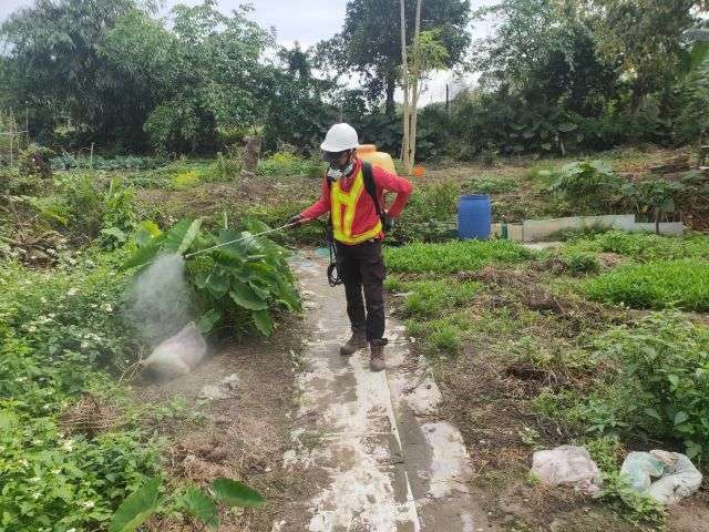 0325-建物拆除、圍籬施作、紅火蟻偵查及管理維護