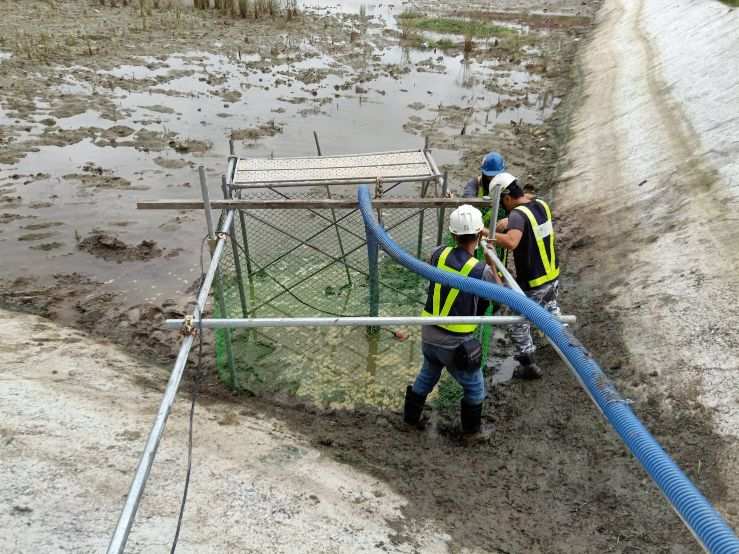 1108-整地土方工程、道路工程、污水工程及管理維護(滯洪池抽排水)