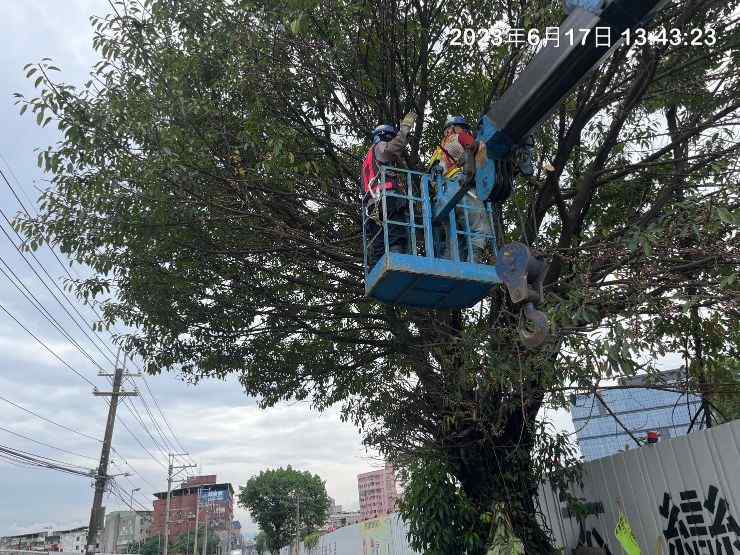 0617-整地土方工程、道路工程、排水工程、共管工程、B8類營建廢棄物及管理維護(勤前教育/路樹修剪/防汛排水溝清理)