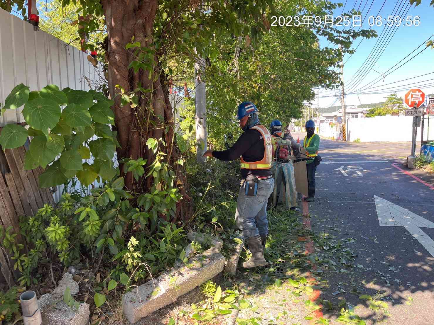 0925-整地土方工程、道路工程、排水工程、污水工程、共管工程及管理維護(勤前教育/路樹修剪)