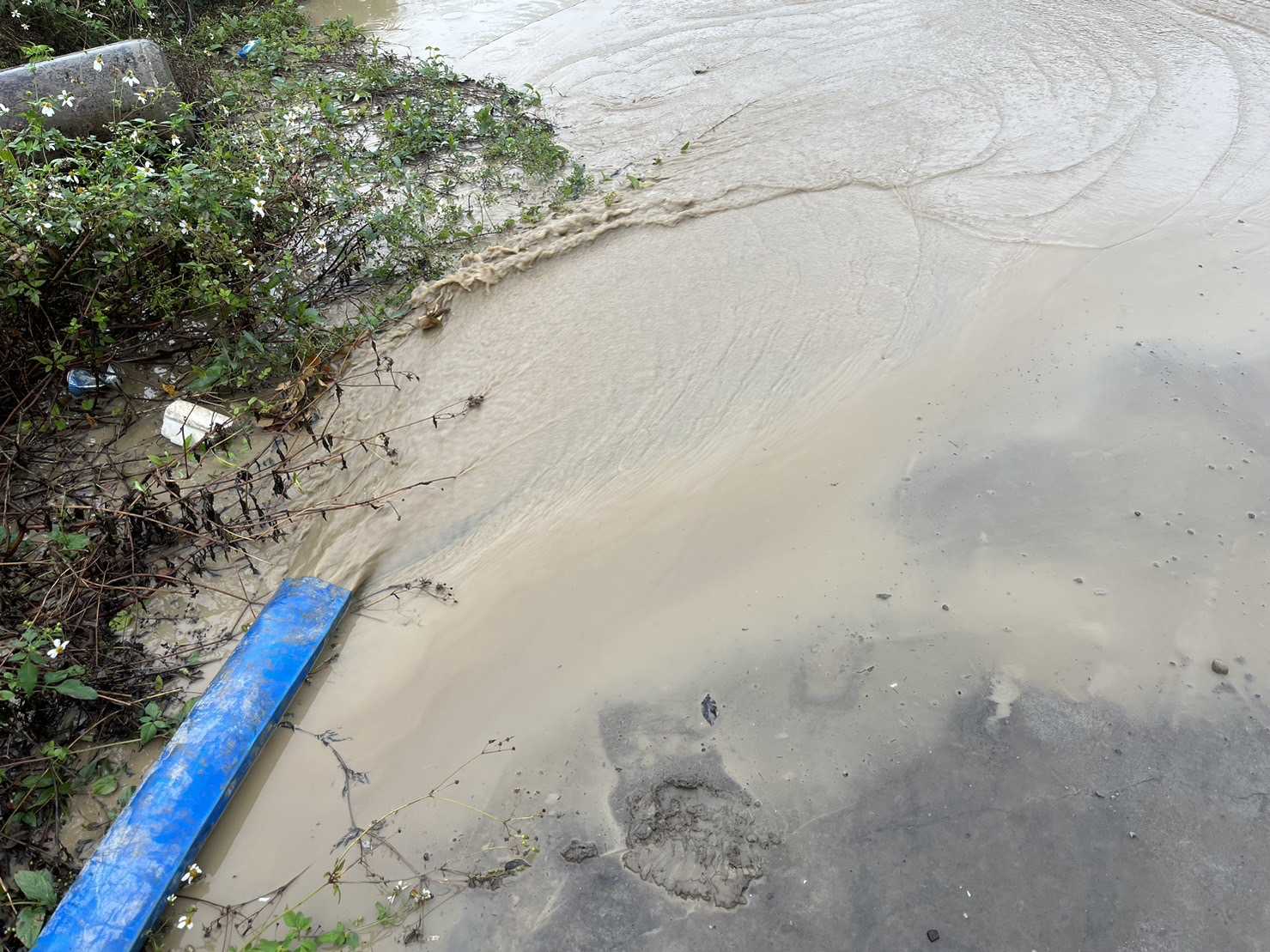 1204-整地土方工程、排水工程及管理維護(勤前教育工區抽排水)