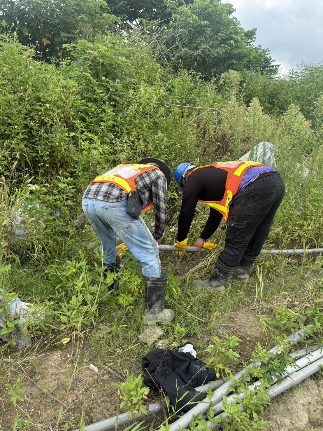 0810 道路工程、共管工程及管理維護