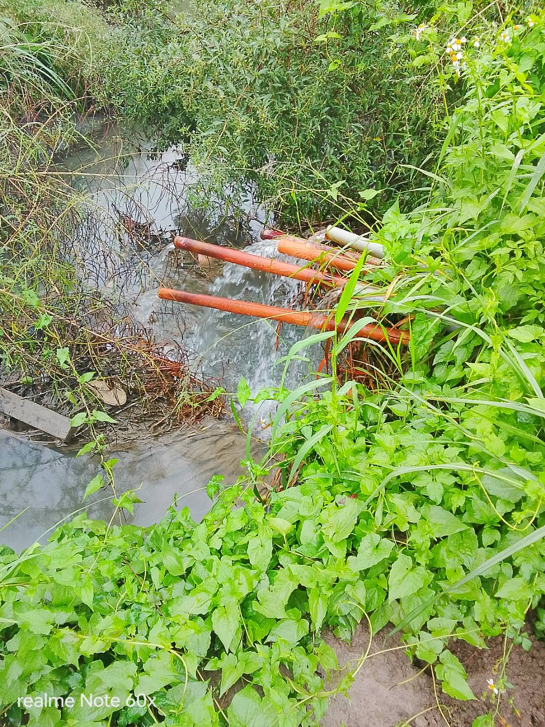 1025 整地土方工程、道路工程、排水工程、污水工程、共管工程、機電工程及管理維護/工區抽排水設備巡檢