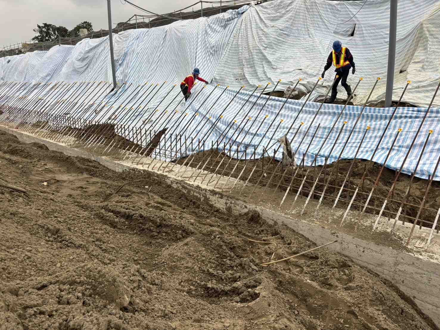 1212 整地土方工程、道路工程、排水工程、污水工程、共管工程、結構工程(橋梁)、機電工程及管理維護//PD4滯洪池邊坡防塵(水)帆布鋪設 1212 整地土方工程、道路工程、排水工程、污水工程、共管工程、結構工程(橋梁)、機電工程及管理維護//PD4滯洪池邊坡防塵(水)帆布鋪設