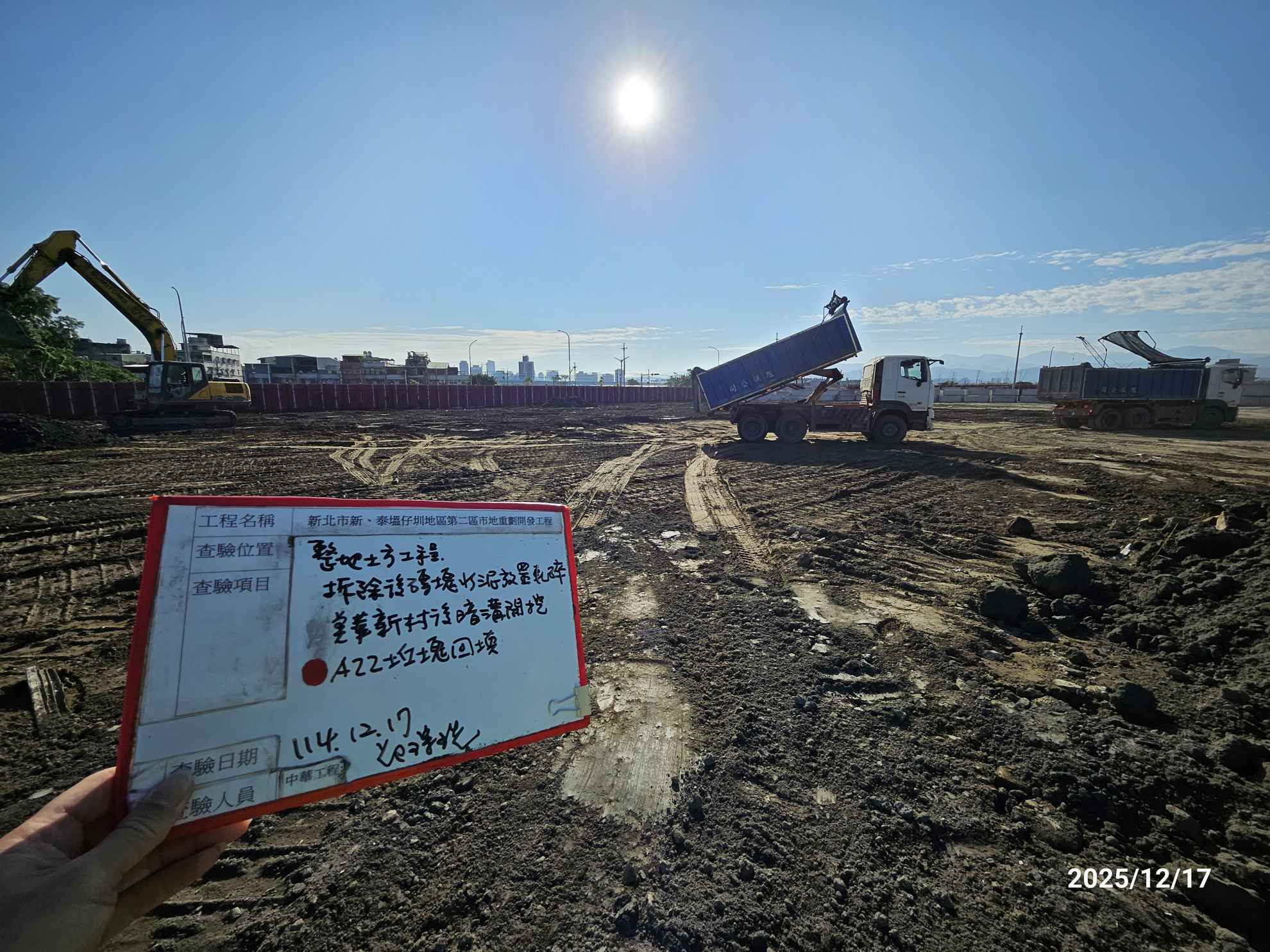 1217 整地土方工程、道路工程、排水工程、污水工程、共管工程、結構工程(橋梁)、機電工程及管理維護/工區臨時照明配線檢修