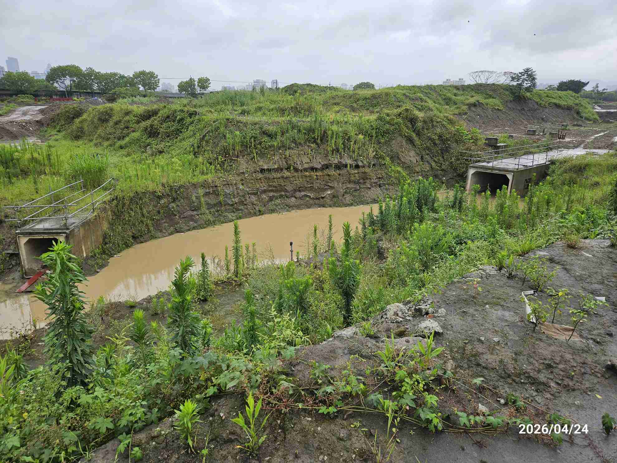 0424 排水工程及管理維護//工區驟雨祛水/排水溝防汛清理